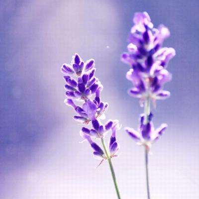 亿博电竞官网登录